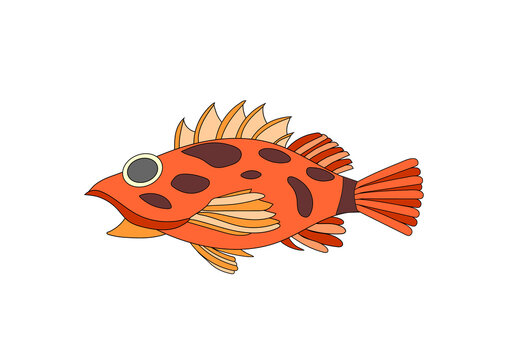 カサゴ Images Browse 647 Stock Photos Vectors And Video Adobe Stock