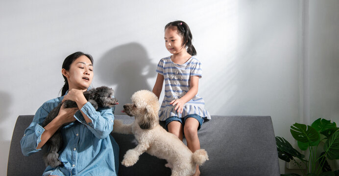 Young beautiful mother and little cute daughter have fun playing with dogs on the home sofa. Image of happy girl with dog mother relaxing at home. Happy family with pet friendship and care concept