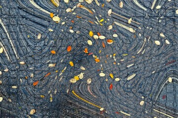 Autumn abstraction of lying autumn leaves