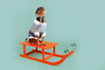 miniature pinscher with woolen jumper and  wooden sled in a winter holiday setting 