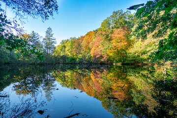 Frankfurter Stadtwald - Jacobiweiher im Herbst mit Herbstwald mit farbenfrohen Bäumen und Spiegelung im See, an einem sonnigen Tag Frankfurt Hessen Deutschland