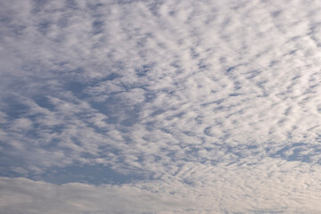The morning sky is used for the background.
