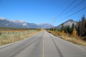 Road To The Mountains, Jasper National Park, Alberta