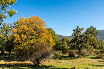 Lozoya Valley, in the Sierra de Guadarrama of Madrid, with autumn colors