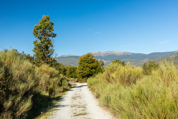 Lozoya Valley, in the Sierra de Guadarrama of Madrid, with autumn colors