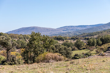 Fototapeta na wymiar Lozoya Valley, in the Sierra de Guadarrama of Madrid, with autumn colors