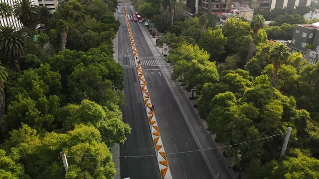 Autos transitando sobre avenida paseo de la reforma por la ma&ntilde;ana mientras flores de cempas&uacute;chil la adornan cercano a d&iacute;a de muertos.