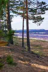 shore of Lake Onega on a sunny summer day