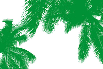 Silhouette de cocotiers verts