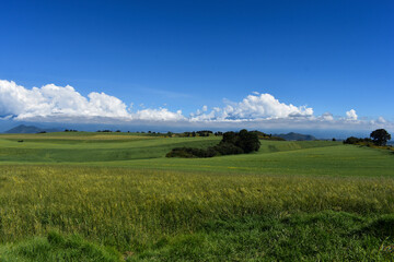 vast plains