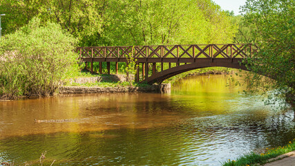 Fototapeta na wymiar Park in the summer. Bridge over the river with ducks.