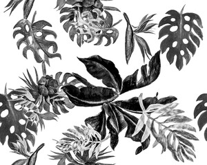 Fototapeta premium Black Monstera Leaf. White Watercolor Illustration. Banana Leaf Foliage. Seamless Foliage. Pattern Decor. Tropical Plant. Vintage Jungle. Botanical Set.