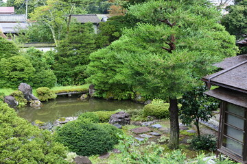 Fototapeta na wymiar 庭園、日本庭園