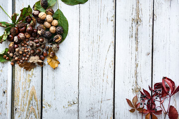 Chestnuts, nuts and leaves on a wooden, white background, vintage style