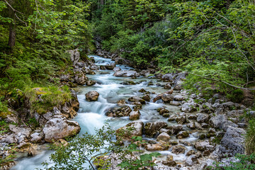 Magic Forest Zauberwald at Lake Hintersee with Creek Ramsauer Ache. National Park Berchtesgadener Land, Germany