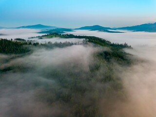 A thin morning fog covers the Ukrainian mountains. Green grass on the slopes of the mountains. A curly thin fog spreads over the mountains. Aerial drone view.