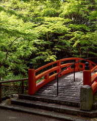 Fresh Green at early summer in Kyoto,Japan