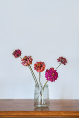 Dry Flowers styled stock