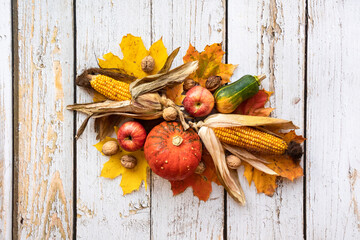 autumn still life with apples pumpkin, corn on a cop, nuts and leaves on a white, wooden background