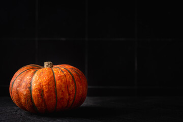 Colorful halloween pumpkins on dark background Autumn decor