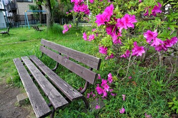 誰もいないベンチ