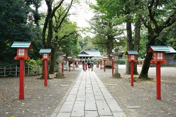 鷲宮神社（埼玉県）の参道