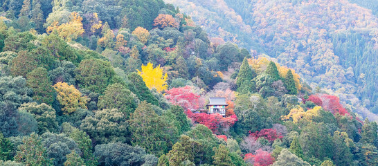 Fototapeta na wymiar daihikaku senkoji temple with colorful leaves mountains in Arashiyama, landscape landmark and popular for tourists attractions in Kyoto, Japan