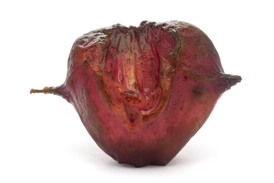 Macro close-up of Organic fresh singhara (Trapa natans) isolated over white background