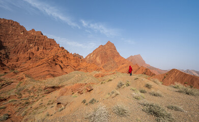A person in red dress stands in the wilderness.