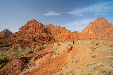 A person in red dress stands in the wilderness.