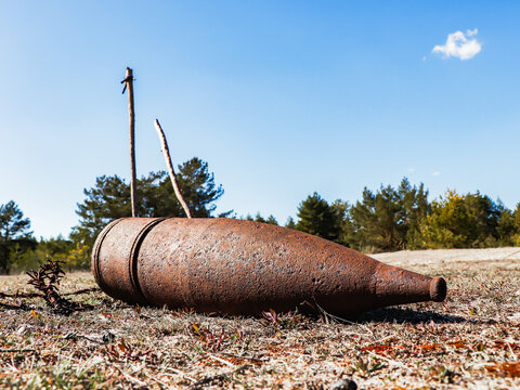 An old shell lies on the field.