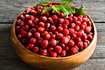Cranberry in wooden bowl on a brown wood background.  Closeup with copy space
