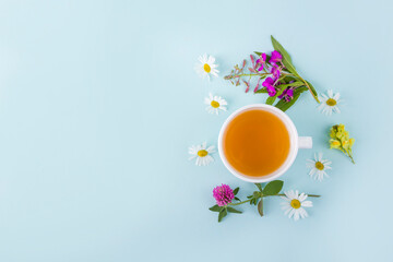 Cup of herbal tea with flowers chamomile on blue background. Organic floral, green asian tea....
