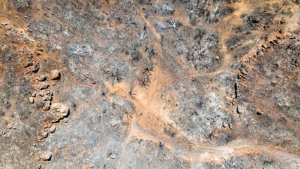 Aerial drone view of the consequences of fires in Greece