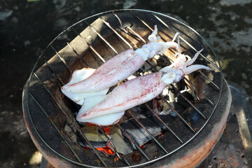 Grilled splendid squid fresh from the sea and safe from formalin