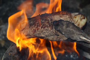 fire grilled meat