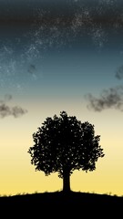 Obraz premium silhouette of tree