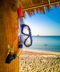  Snorkeling mask hanging on a trunk of palm tree, morning on sandy beach of Eilat - famous tourist resort and recreation city in Israel, selective focus on snorkel mask 