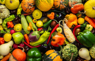 Background with fresh autumn vegetables, organic healthy farm products, top view