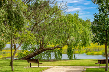 The beauty of Yanchep national park in Perth Western Australia