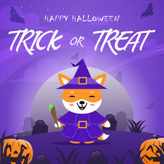 Fox uses costumes witch for Halloween party celebrations, funny costumes with scary Halloween backgrounds.