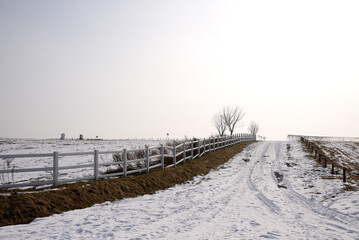snowy landscape in winter