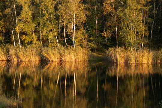 Herbst an einem See