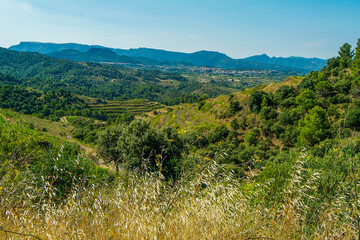 Terruño de la comarca del Priorat, en la provincia de Tarragona, Catalunya; ideal para el cultivo de viñedos.