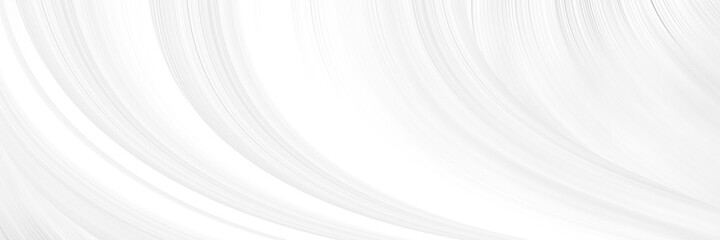 abstract white and silver are light pattern gray with the gradient is the with floor wall metal texture soft tech diagonal background black dark clean modern.