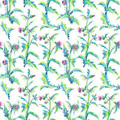 Thistle seamless pattern with buds and leaves. Watercolor illustration isolated on white background.