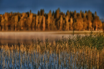 scenic, autumn landscape trees and forest river and lake, nature view fall background