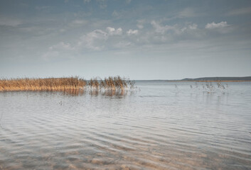Obraz premium Cloudy gray blue sky and calm water of lake with autumn grass in it. Peaceful landscape with matural monochrome scene.