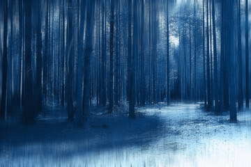 Obraz premium forest spring blurred background blue, abstract view in park nature seasonal