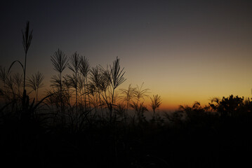 Obraz premium sunset in jeju island